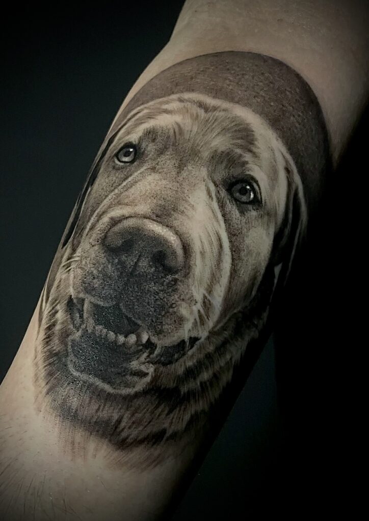 Dog